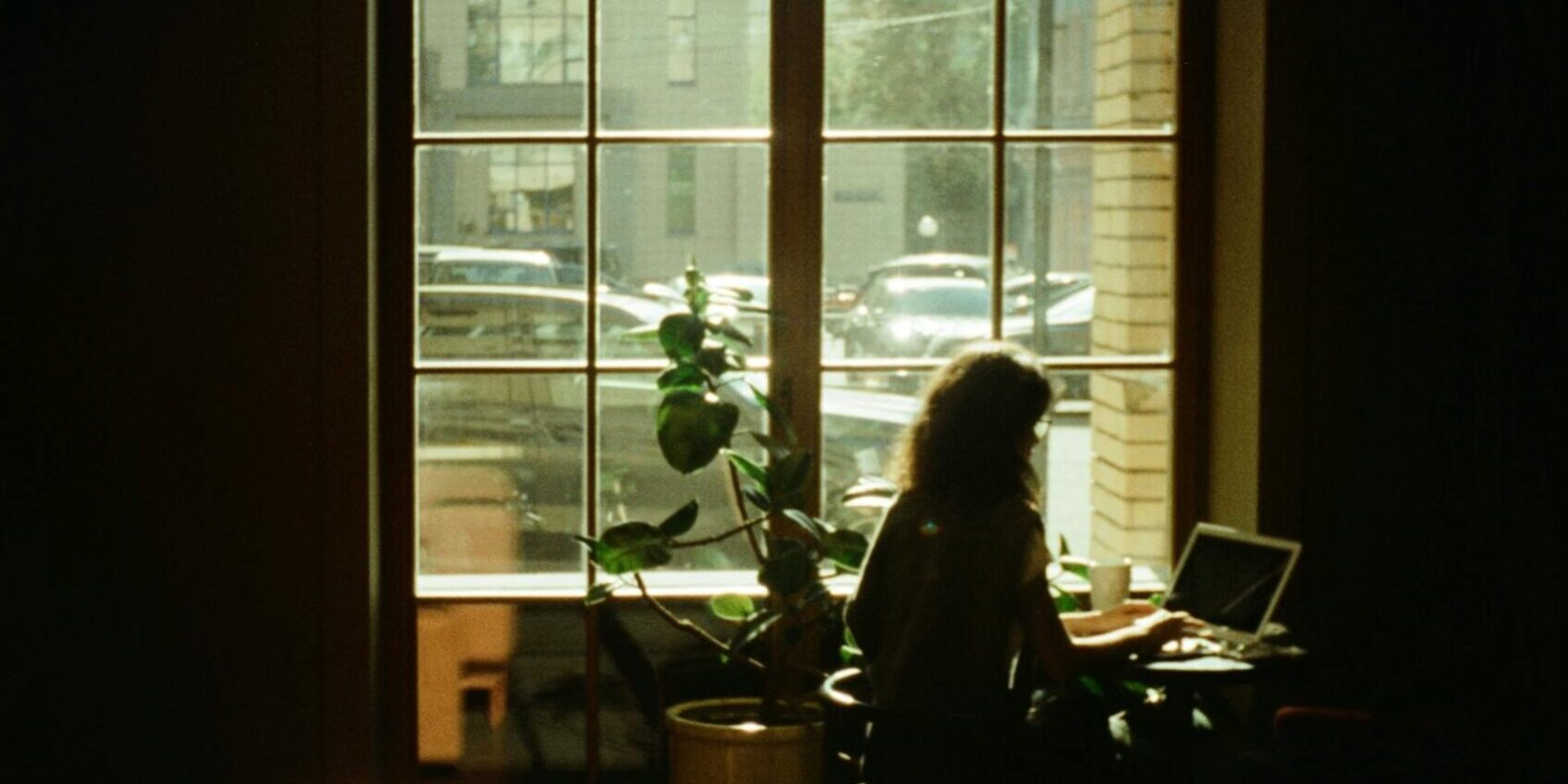 Persona trabajando en un ordenador portátil junto a una ventana iluminada, rodeada de plantas, representando conexión y concentración.