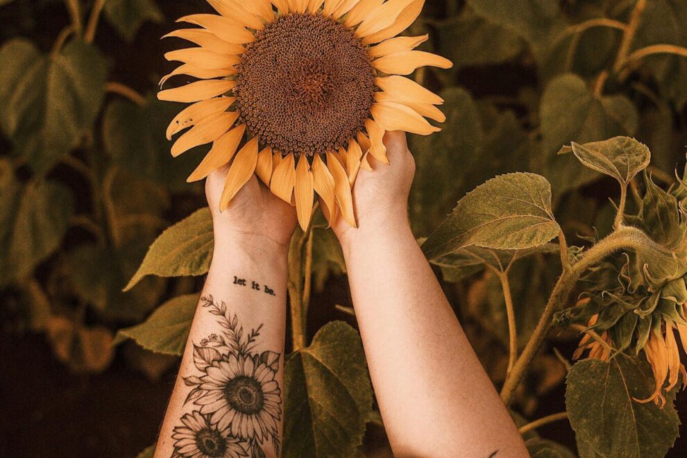 Terapia psicológica: manos sosteniendo un girasol en un campo de flores, símbolo de crecimiento personal y bienestar emocional.